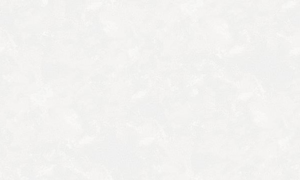 Обои HG951703 (4) Пальмы фон горячее тиснение на флиз. основе 1,06*10м ДЕКОРОН (DEKORON)