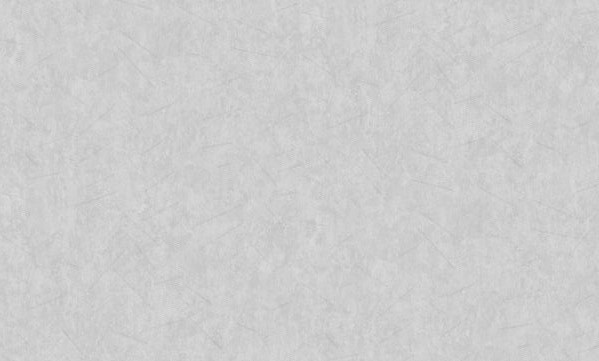 Обои ML17128 (4) Веточка фон горячее тиснение на флиз. основе 1,06*10м ДЕКОРОН (DEKORON)  240g